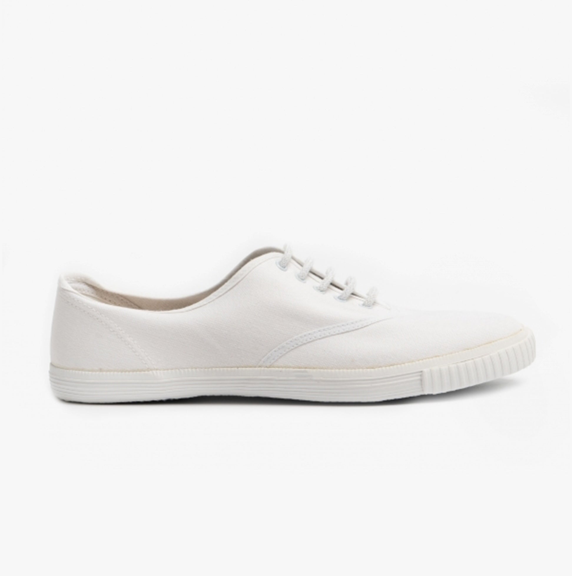 Lace up canvas sneakers online