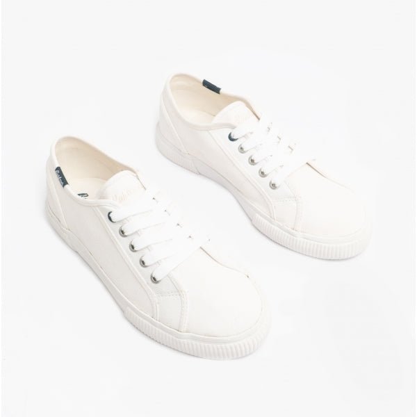 Barbour SEAHOLLY Ladies Casual Trainers White - Shuperb