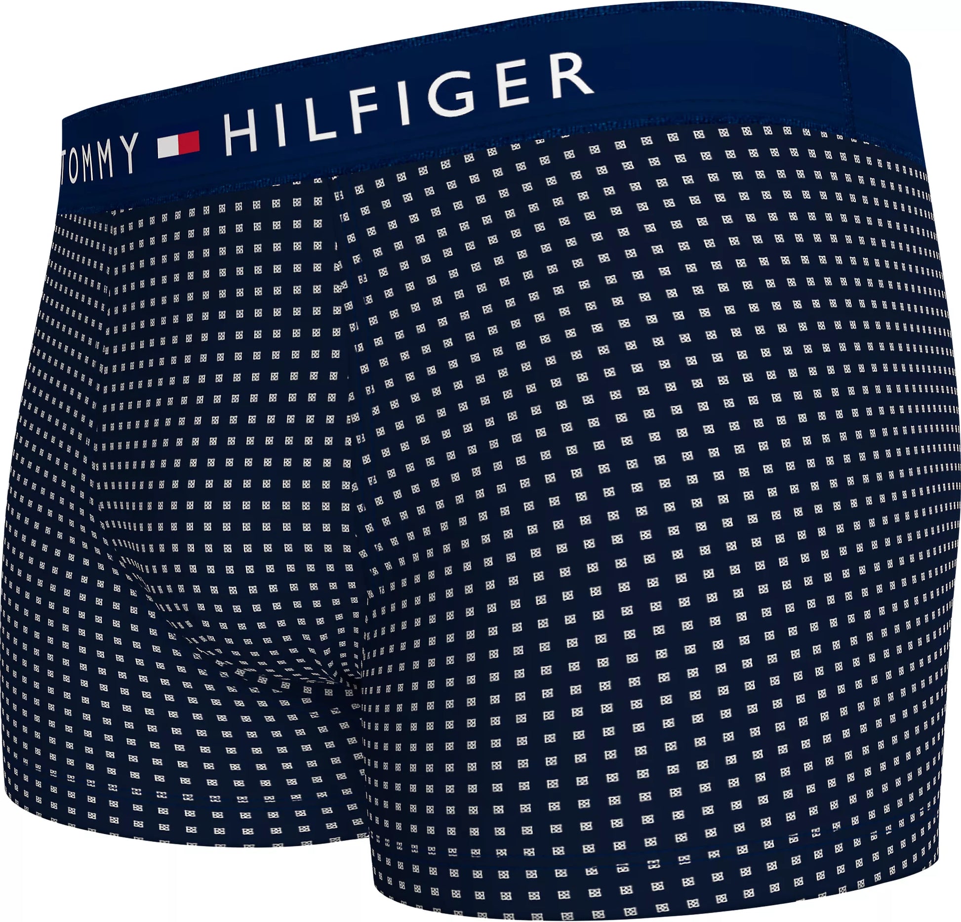 TommyHilfiger-[UM0UM029000XQ]-MicroFoulard-DesertSky-2.webp